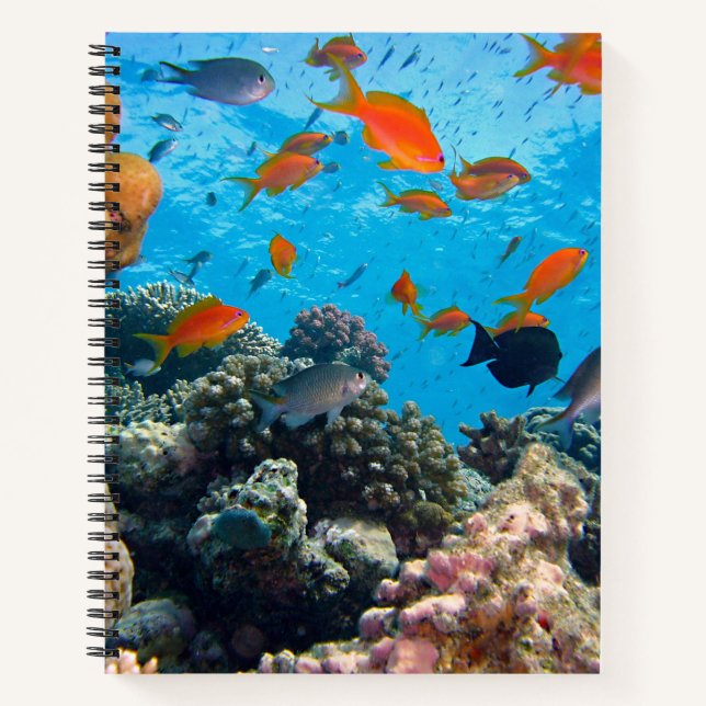 Cuaderno Pesca submarina y escena coral (Anverso)