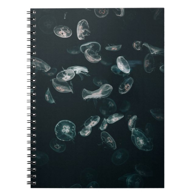 CUADERNO PESCADO BLANCO Y NEGRO EN EL AGUA (Frente)