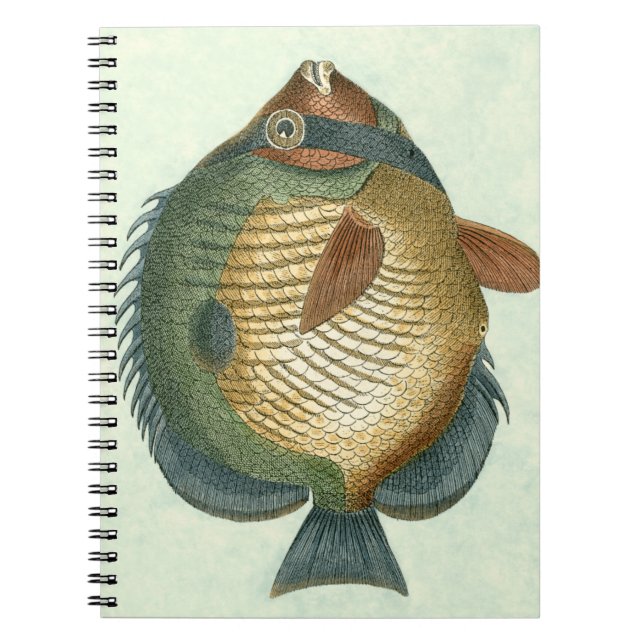 Cuaderno Pescado colorido grande (Frente)
