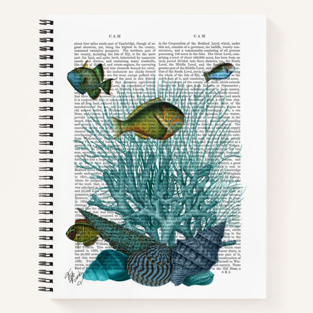 Cuaderno Pescado, conchas azules y corales (Anverso)