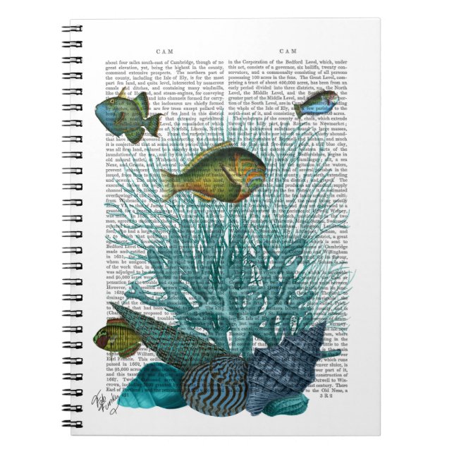 Cuaderno Pescado, conchas azules y corales (Frente)