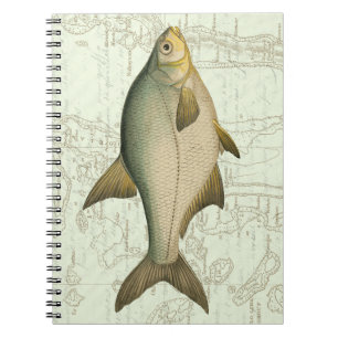 Cuaderno Pescado de agua dulce en el mapa