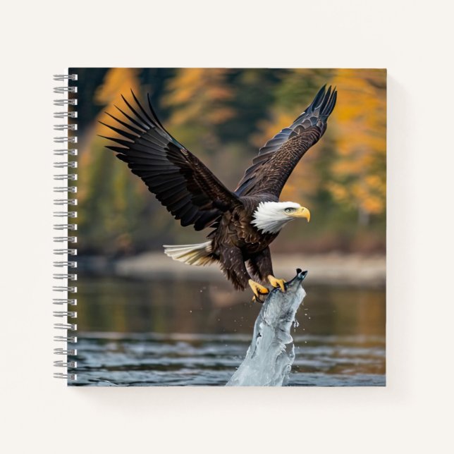 Cuaderno Pescado de captura de águila (Anverso)