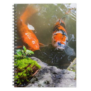 Cuaderno Pescado de Koi en un estanque