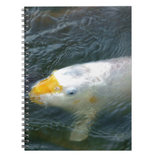 Cuaderno Pescado de oro en el lago