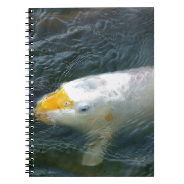 Cuaderno Pescado de oro en el lago (Frente)