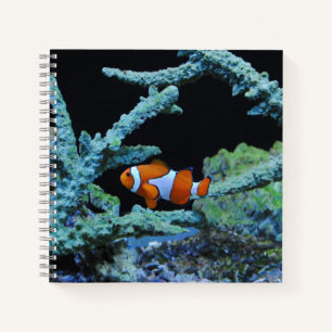 Cuaderno Pescado de payaso en el coral