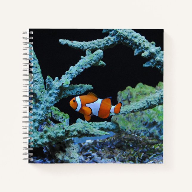 Cuaderno Pescado de payaso en el coral (Anverso)