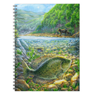 Cuaderno Pescado del río Montaña