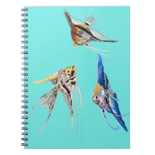 Cuaderno Pescado escalar