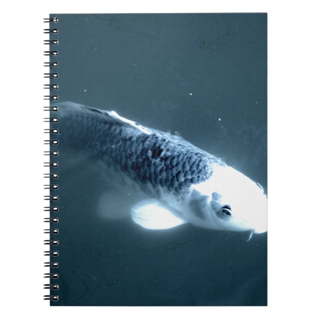 Cuaderno Pescado "fantasma" (Frente)