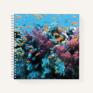 Cuaderno Pescado Naranja tropical y coral rosa