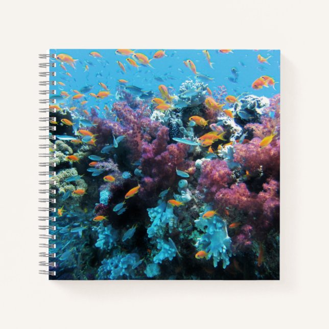Cuaderno Pescado Naranja tropical y coral rosa (Anverso)