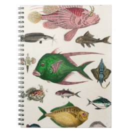 Cuaderno pescado, océano, lindo, mar, agua, animal, pesca