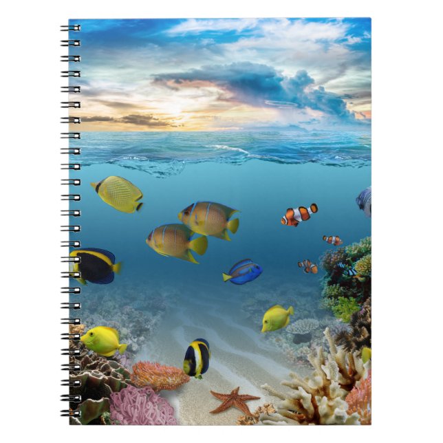 Cuaderno Pescado tropical del arrecife de coral submarino o (Frente)