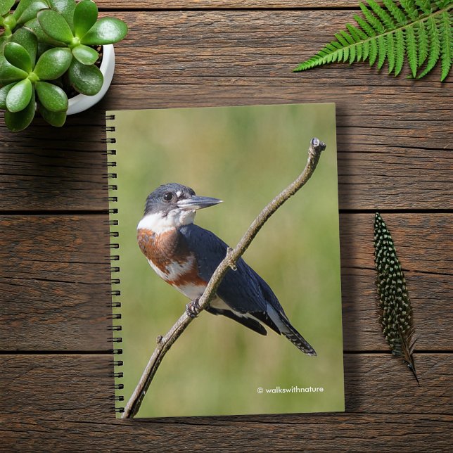 Cuaderno Pescadora de bizcocho en una extremidad (Belted Kingfisher on a Limb Journal Cover Photo)