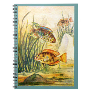 Cuaderno Pescados de Cichlid