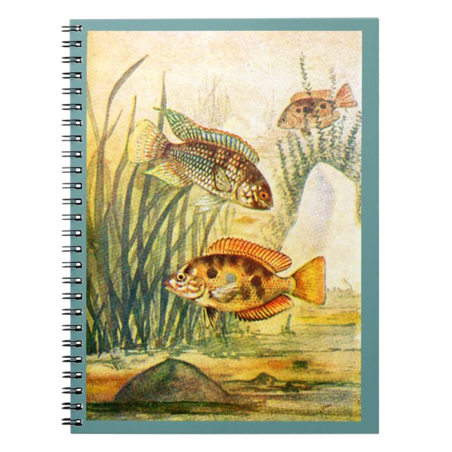 Cuaderno Pescados de Cichlid (Frente)