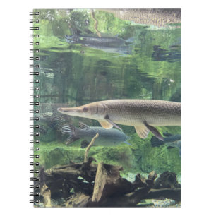 Cuaderno Pescados de Pike