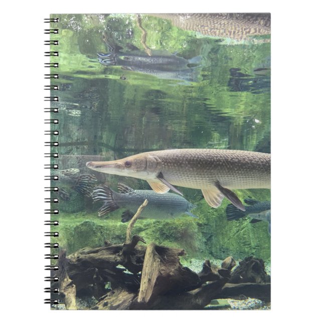 Cuaderno Pescados de Pike (Frente)