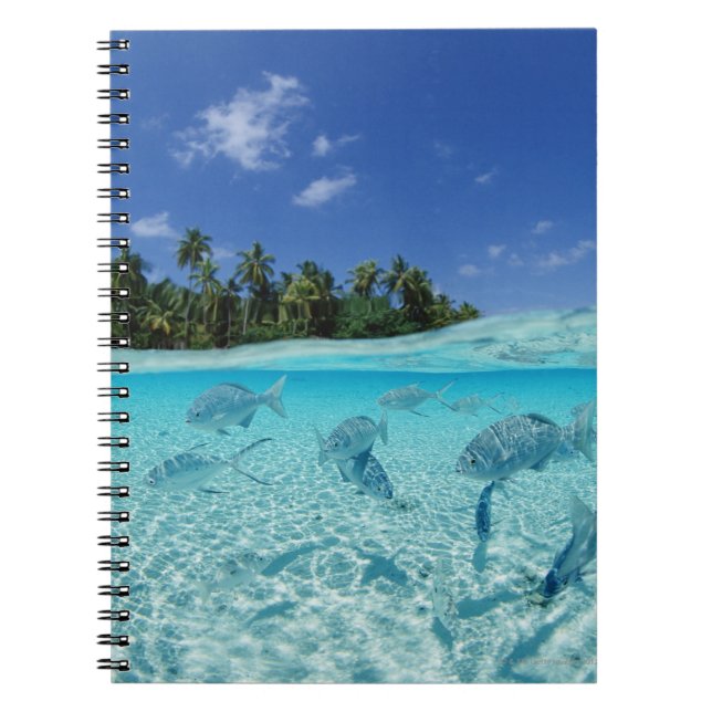 Cuaderno Pescados en el mar (Frente)