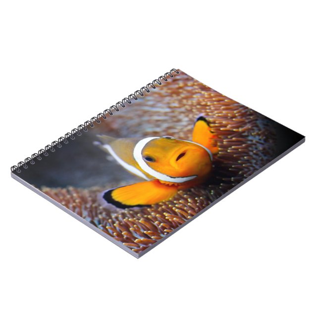 Cuaderno Pescados tropicales del filón - Clownfish (Lado Izquierdo)