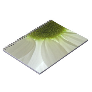 Cuaderno Petales de margarita blancos