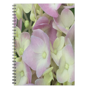 Cuaderno Pétalos de hidrangea rosados y blancos antiguos y 