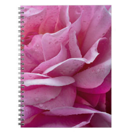Cuaderno - Pétalos de Rosa Rosa y Gotitas de Rocío
