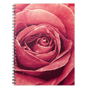 Cuaderno Pétalos de un Rosa