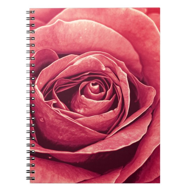 Cuaderno Pétalos de un Rosa (Frente)