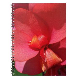Cuaderno pétalos rojos brillantes