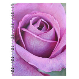 Cuaderno Pétalos Rosas morados del jardín de Gertie
