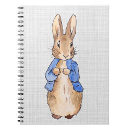 Cuaderno Peter with a Grey Linen background 