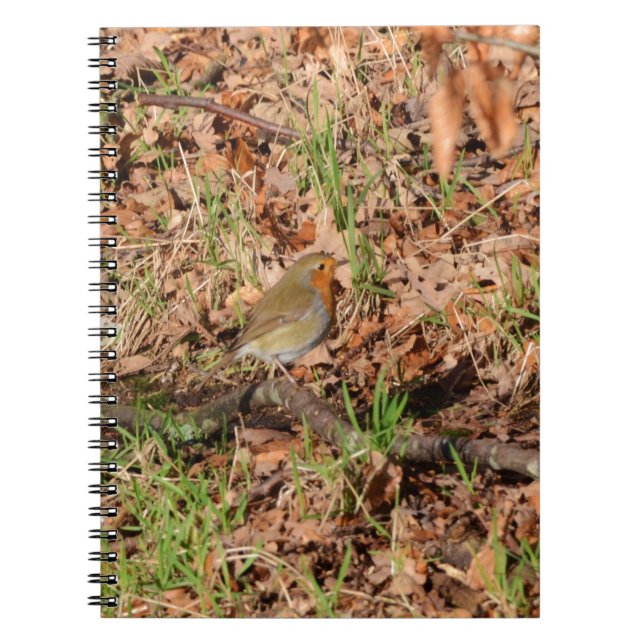 Cuaderno Petirrojo (Frente)