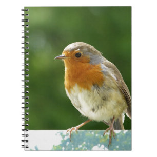 Cuaderno Petirrojo rojo