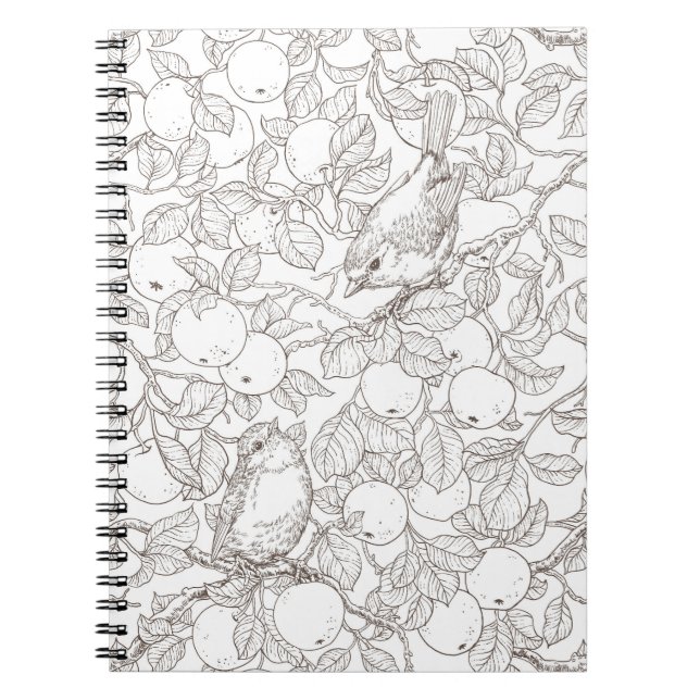 Cuaderno Petirrojos en el manzano/marrón y blanco (Frente)