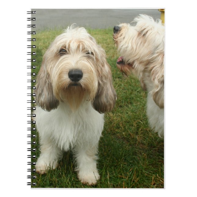 Cuaderno Petit Basette Griffon Vendeen (Frente)