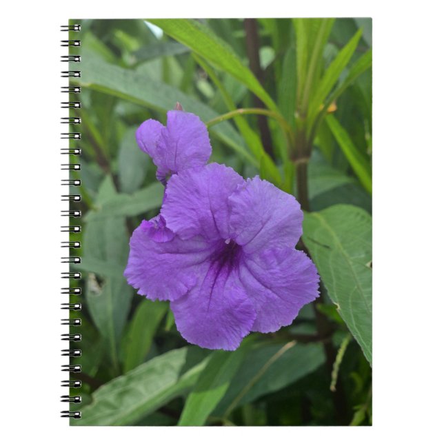 Cuaderno Petunia mexicana (Frente)