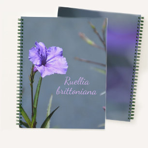 Cuaderno Petunia Mexicana Floral Morada Personalizable