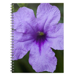 Cuaderno Petunia mexicano