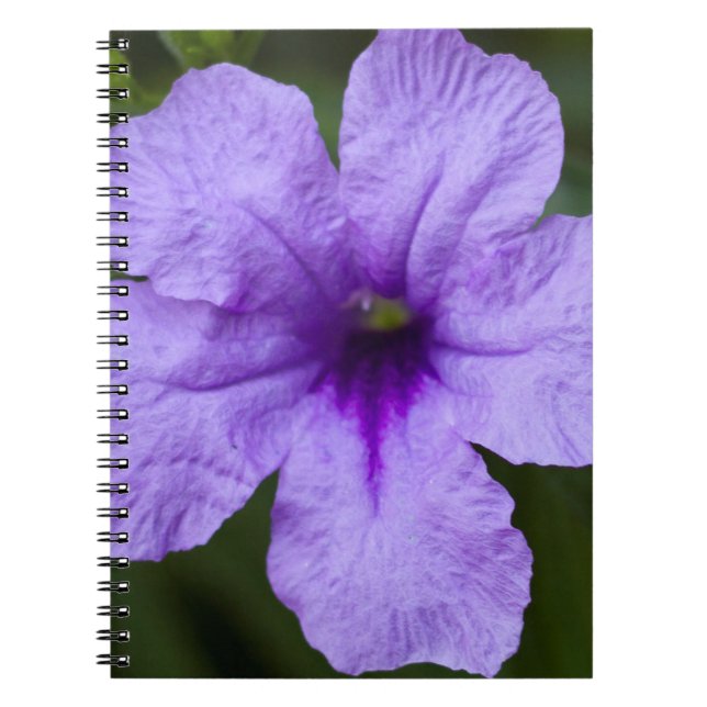 Cuaderno Petunia mexicano (Frente)