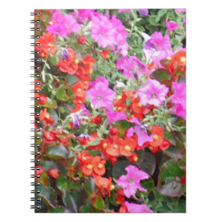 Cuaderno Petunia rosa y geranios rojos