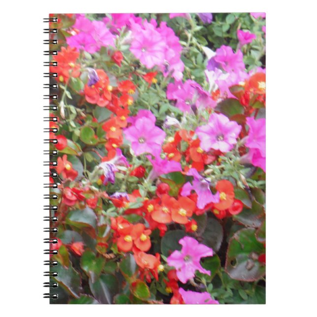 Cuaderno Petunia rosa y geranios rojos (Frente)