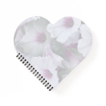 Petunias Rosadas Y Blancas