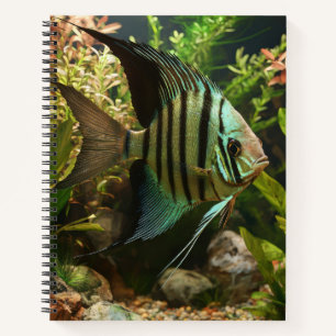 Cuaderno Pez ángel altum rayado