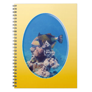 Cuaderno Pez ballesta en la parte superior del coral - Dise