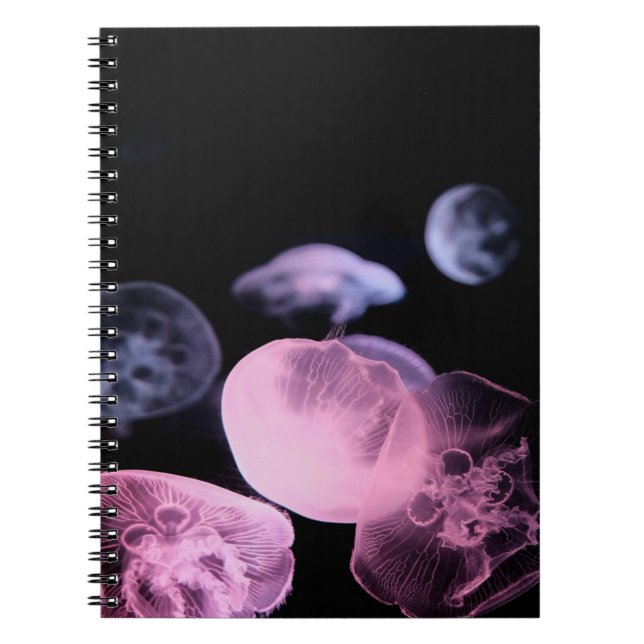 CUADERNO PEZ BLANCO EN AGUA CON FONDO NEGRO (Frente)