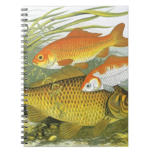 Cuaderno Pez Koi Goldfish, Vida Marina Acuática Antigua