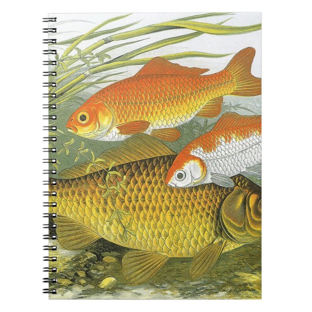 Cuaderno Pez Koi Goldfish, Vida Marina Acuática Antigua (Frente)